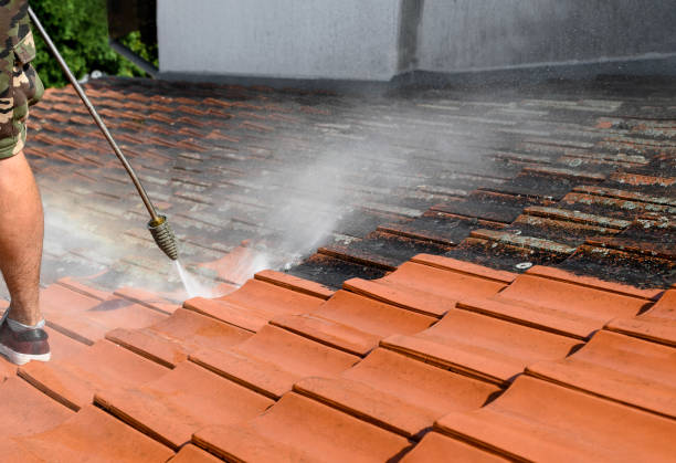 Best Roof Pressure Washing  in Langley, SC